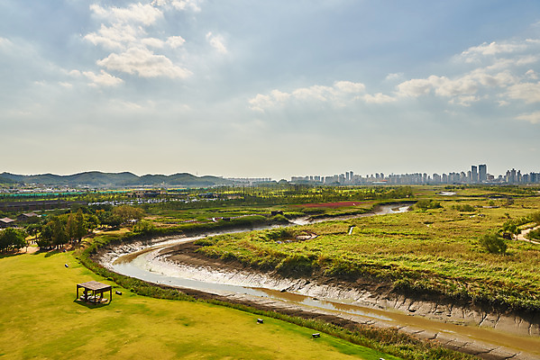 포토 JPG 주간 구름 여행 자연 하늘 한국 풍경 초원 사람없음 야외 가을 국내여행 시흥 갯골생태공원 국내포토 자연요소 계절 아시아 생태계 경기도 파일형식