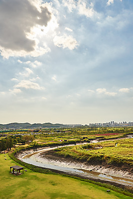 포토 JPG 주간 구름 여행 자연 하늘 한국 풍경 초원 사람없음 야외 가을 국내여행 시흥 갯골생태공원 국내포토 자연요소 계절 아시아 생태계 경기도 파일형식
