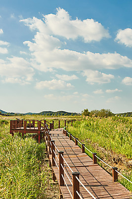 포토 JPG 주간 구름 길 여행 자연 하늘 한국 풍경 초원 사람없음 야외 가을 국내여행 시흥 갯골생태공원 국내포토 자연요소 계절 아시아 생태계 경기도 파일형식