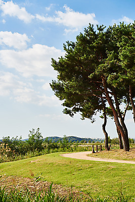 포토 JPG 주간 나무 구름 여행 자연 하늘 한국 풍경 사람없음 야외 가을 국내여행 시흥 갯골생태공원 국내포토 자연요소 식물 계절 아시아 생태계 경기도 파일형식