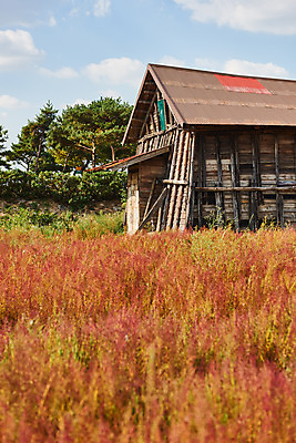 포토 JPG 주간 구름 여행 자연 하늘 한국 풍경 사람없음 야외 가을 창고 소금 국내여행 염전 시흥 갯골생태공원 국내포토 자연요소 계절 아시아 시설 생태계 경기도 파일형식