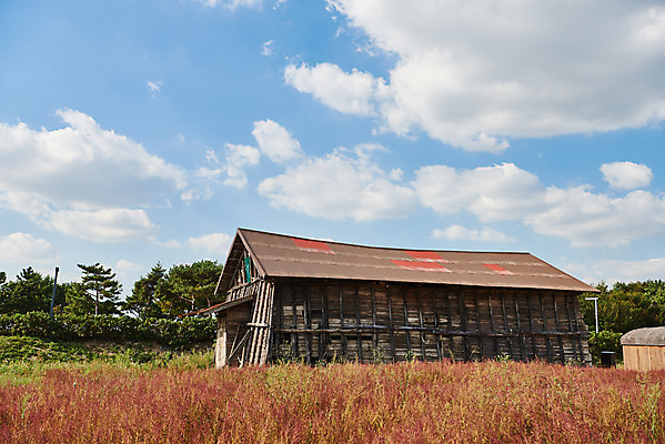 포토 JPG 주간 구름 여행 자연 하늘 한국 풍경 사람없음 야외 가을 창고 소금 국내여행 염전 시흥 갯골생태공원 국내포토 자연요소 계절 아시아 시설 생태계 경기도 파일형식