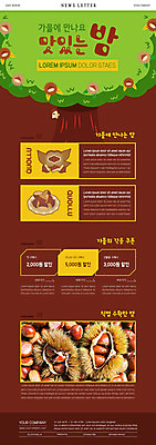 PSD 나무 템플릿 ZIP 웹템플릿 사람없음 갈색 세일 가을 밤 밤송이 쿠폰 뉴스레터 이미지템플릿 식물 계절 컬러 견과류 밤_견과류 파일형식