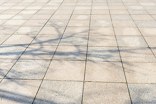 포토 JPG 주간 나무 백그라운드 바닥 그림자 사람없음 야외 햇빛 나뭇가지 오후 국내포토 자연요소 식물 태양 파일형식