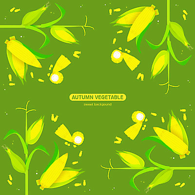 PSD 꽃 패턴 일러스트 옥수수 사람없음 초록색 옥수수알갱이 국내일러스트 식물 컬러 무늬 곡류 파일형식