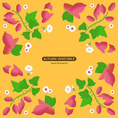 PSD 패턴 일러스트 사람없음 주황색 겨울음식 고구마 겨울간식 군고구마 고구마줄기 제철음식 고구마꽃 국내일러스트 꽃 음식 줄기 컬러 겨울 무늬 디저트 뿌리채소 구이 제철 파일형식