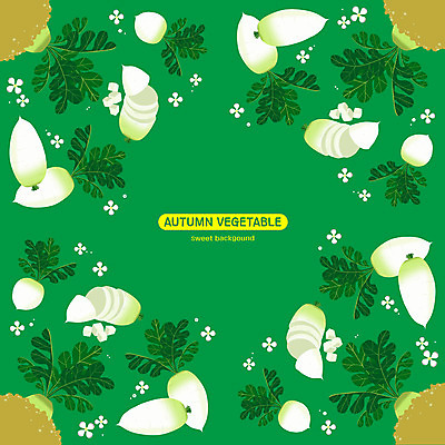 PSD 조각 패턴 채소 일러스트 사람없음 초록색 흙 무 무꽃 열무 국내일러스트 꽃 컬러 무늬 뿌리채소 파일형식