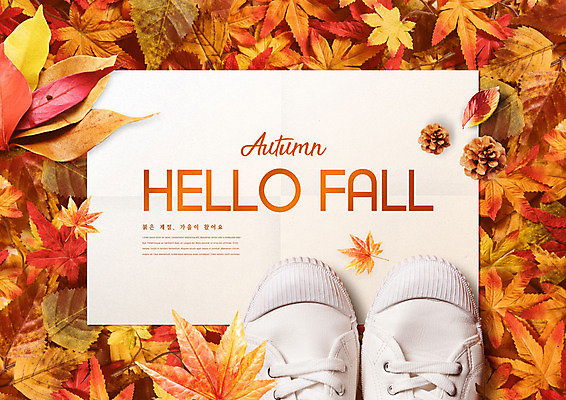 PSD 편집이미지 신발 단풍 낙엽 사람없음 빨간색 가을풍경 가을 엽서 솔방울 이미지편집 계절 컬러 잎 풍경 편지 파일형식 가을_계절