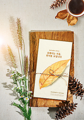 PSD 편집이미지 커피 단풍 낙엽 사람없음 가을풍경 가을 편지 엽서 솔방울 강아지풀 이미지편집 식물 계절 음료 잎 풍경 한해살이풀 파일형식 가을_계절