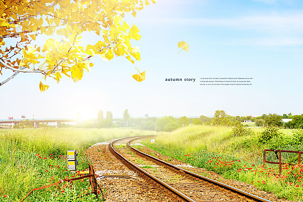 PSD 편집이미지 풍경 사람없음 가을풍경 기찻길 가을 은행잎 엽서 은행나무 이미지편집 나무 계절 잎 편지 파일형식 가을_계절