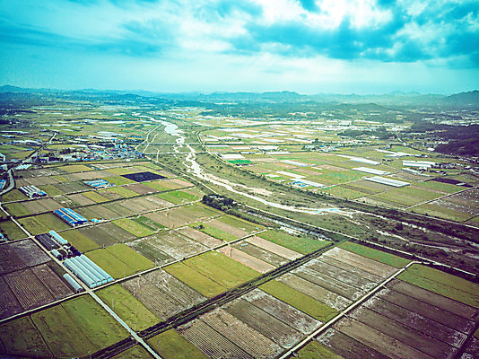 포토 JPG 주간 여행 한국 논 풍경 사람없음 야외 하이앵글 수확 벼 가을 경기도 항공촬영 국내여행 전경 국내포토 여주시 자연요소 계절 아시아 뷰포인트 농업 곡류 파일형식 탑뷰