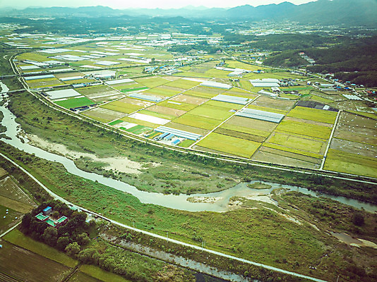 포토 JPG 주간 여행 한국 논 풍경 사람없음 야외 하이앵글 수확 벼 가을 경기도 항공촬영 국내여행 전경 국내포토 여주시 자연요소 계절 아시아 뷰포인트 농업 곡류 파일형식 탑뷰