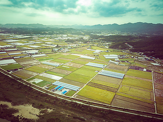 포토 JPG 주간 여행 한국 논 풍경 사람없음 야외 하이앵글 수확 벼 가을 경기도 항공촬영 국내여행 전경 국내포토 여주시 자연요소 계절 아시아 뷰포인트 농업 곡류 파일형식 탑뷰