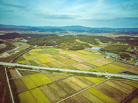 포토 JPG 주간 여행 한국 논 풍경 사람없음 야외 하이앵글 수확 벼 가을 경기도 항공촬영 국내여행 전경 국내포토 여주시 자연요소 계절 아시아 뷰포인트 농업 곡류 파일형식 탑뷰