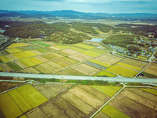 포토 JPG 주간 여행 한국 논 풍경 사람없음 야외 하이앵글 수확 벼 가을 경기도 항공촬영 국내여행 전경 국내포토 여주시 자연요소 계절 아시아 뷰포인트 농업 곡류 파일형식 탑뷰