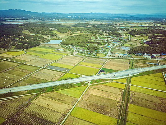 포토 JPG 주간 여행 한국 논 풍경 사람없음 야외 하이앵글 수확 벼 가을 경기도 항공촬영 국내여행 전경 국내포토 여주시 자연요소 계절 아시아 뷰포인트 농업 곡류 파일형식 탑뷰