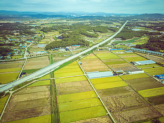 포토 JPG 주간 여행 한국 논 풍경 사람없음 야외 하이앵글 수확 벼 가을 경기도 항공촬영 국내여행 전경 국내포토 여주시 자연요소 계절 아시아 뷰포인트 농업 곡류 파일형식 탑뷰