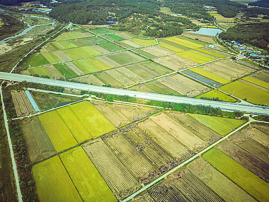 포토 JPG 주간 여행 한국 논 풍경 사람없음 야외 하이앵글 수확 벼 가을 경기도 항공촬영 국내여행 전경 국내포토 여주시 자연요소 계절 아시아 뷰포인트 농업 곡류 파일형식 탑뷰