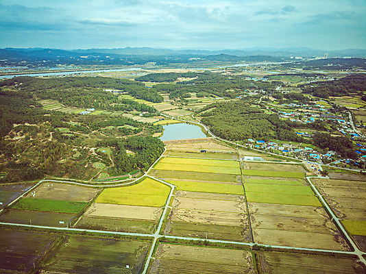 포토 JPG 주간 여행 한국 논 풍경 사람없음 야외 하이앵글 수확 벼 가을 경기도 항공촬영 국내여행 전경 국내포토 여주시 자연요소 계절 아시아 뷰포인트 농업 곡류 파일형식 탑뷰