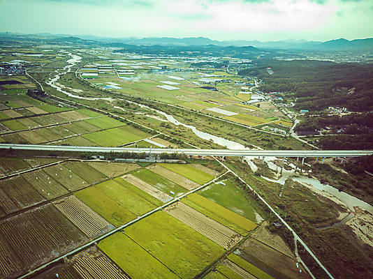 포토 JPG 주간 여행 한국 논 풍경 사람없음 야외 하이앵글 수확 벼 가을 경기도 항공촬영 국내여행 전경 국내포토 여주시 자연요소 계절 아시아 뷰포인트 농업 곡류 파일형식 탑뷰