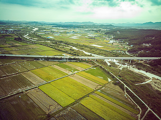 포토 JPG 주간 여행 한국 논 풍경 사람없음 야외 하이앵글 수확 벼 가을 경기도 항공촬영 국내여행 전경 국내포토 여주시 자연요소 계절 아시아 뷰포인트 농업 곡류 파일형식 탑뷰