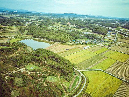 포토 JPG 주간 여행 한국 논 풍경 사람없음 야외 하이앵글 수확 벼 가을 경기도 항공촬영 국내여행 전경 국내포토 여주시 자연요소 계절 아시아 뷰포인트 농업 곡류 파일형식 탑뷰