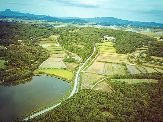 포토 JPG 주간 여행 한국 논 풍경 사람없음 야외 하이앵글 수확 벼 가을 경기도 항공촬영 국내여행 전경 국내포토 여주시 자연요소 계절 아시아 뷰포인트 농업 곡류 파일형식 탑뷰