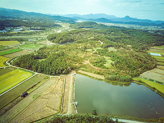 포토 JPG 주간 여행 한국 논 풍경 사람없음 야외 하이앵글 수확 벼 가을 경기도 항공촬영 국내여행 전경 국내포토 여주시 자연요소 계절 아시아 뷰포인트 농업 곡류 파일형식 탑뷰