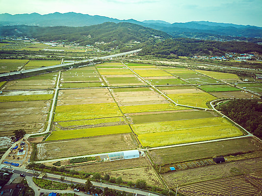 포토 JPG 주간 여행 한국 논 풍경 사람없음 야외 하이앵글 수확 벼 가을 경기도 항공촬영 국내여행 전경 국내포토 여주시 자연요소 계절 아시아 뷰포인트 농업 곡류 파일형식 탑뷰