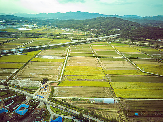 포토 JPG 주간 여행 한국 논 풍경 사람없음 야외 하이앵글 수확 벼 가을 경기도 항공촬영 국내여행 전경 국내포토 여주시 자연요소 계절 아시아 뷰포인트 농업 곡류 파일형식 탑뷰