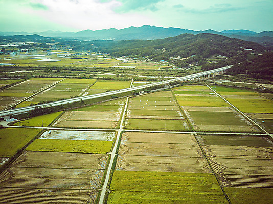 포토 JPG 주간 여행 한국 논 풍경 사람없음 야외 하이앵글 수확 벼 가을 경기도 항공촬영 국내여행 전경 국내포토 여주시 자연요소 계절 아시아 뷰포인트 농업 곡류 파일형식 탑뷰