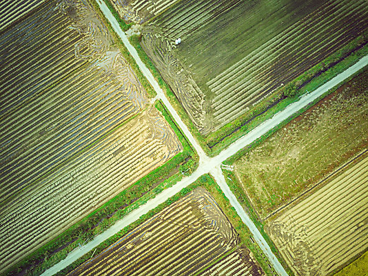 포토 JPG 주간 여행 한국 논 풍경 사람없음 야외 하이앵글 수확 벼 가을 경기도 항공촬영 국내여행 전경 국내포토 여주시 자연요소 계절 아시아 뷰포인트 농업 곡류 파일형식 탑뷰