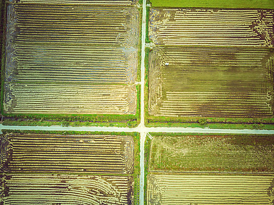 포토 JPG 주간 여행 한국 논 풍경 사람없음 야외 하이앵글 수확 벼 가을 경기도 항공촬영 국내여행 전경 국내포토 여주시 자연요소 계절 아시아 뷰포인트 농업 곡류 파일형식 탑뷰