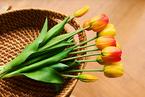 포토 JPG 스튜디오촬영 꽃 재료 실내 취미 사람없음 인테리어 하이앵글 갈색 바구니 튤립 공예 DIY 라탄바구니 원데이클래스 라탄공예 국내포토 식물 디자인 뷰포인트 컬러 내부 클래스 파일형식