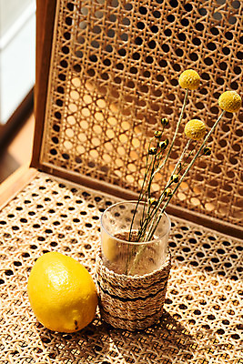 포토 JPG 스튜디오촬영 꽃 과일 재료 실내 취미 사람없음 인테리어 갈색 공예 레몬 DIY 컵홀더 원데이클래스 라탄공예 국내포토 식물 디자인 컬러 내부 클래스 홀더 파일형식