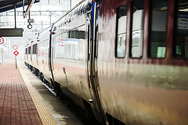 포토 JPG 주간 여행 한국 풍경 사람없음 야외 관광지 기찻길 기차 전라남도 플랫폼 기차역 국내여행 기차여행 고흥 호남선 국내포토 자연요소 아시아 육상교통 교통시설 대중교통 역 전라도 파일형식