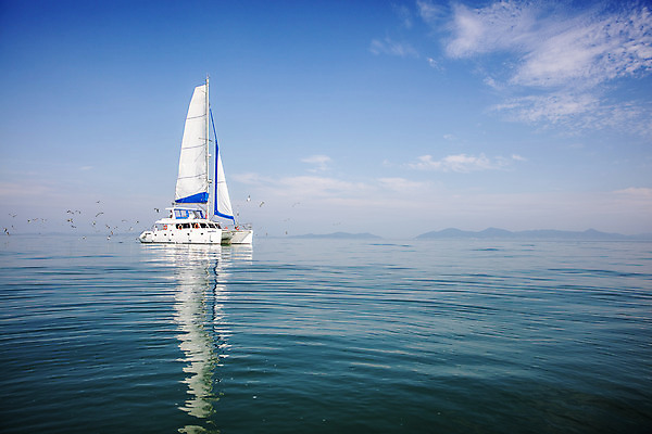 포토 JPG 주간 바다 여행 요트 갈매기 하늘 한국 풍경 사람없음 야외 관광지 전라남도 국내여행 서해안 신안 국내포토 자연요소 아시아 배_교통 조류 전라도 파일형식