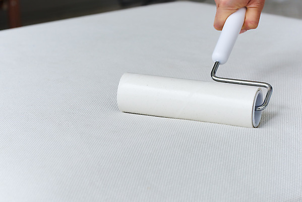 포토 JPG 스튜디오촬영 손 여자 가사 주택 실내 한명 20대 성인 신체부위 소파 청결 한국인 위생 청소도구 청소 먼지 대청소 성인여자한명만 롤클리너 국내포토 1 의자 사람 동양인 청년 내부 건물 도구 여자한명만 성인여자만 파일형식