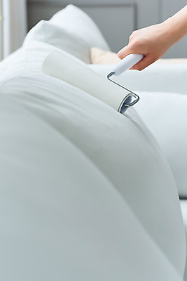 포토 JPG 스튜디오촬영 손 여자 40대 중년 쿠션 가사 거실 주택 실내 한명 신체부위 소파 청결 한국인 위생 청소도구 청소 먼지 대청소 중년여자한명만 롤클리너 국내포토 1 의자 사람 동양인 성인 내부 건물 도구 여자한명만 중년여자만 파일형식