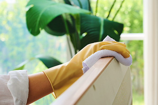 포토 JPG 스튜디오촬영 손 여자 가사 거실 주택 실내 한명 20대 성인 신체부위 텔레비전 청결 한국인 위생 청소도구 청소 먼지 고무장갑 걸레 위생장갑 대청소 성인여자한명만 국내포토 1 장갑 사람 동양인 청년 내부 건물 전자제품 도구 고무 여자한명만 성인여자만 파일형식