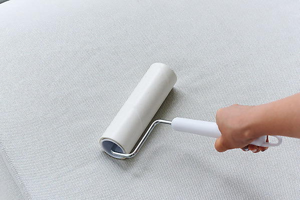 포토 JPG 스튜디오촬영 손 여자 40대 중년 가사 거실 주택 실내 한명 신체부위 소파 청결 한국인 위생 청소도구 청소 먼지 대청소 중년여자한명만 롤클리너 국내포토 1 의자 사람 동양인 성인 내부 건물 도구 여자한명만 중년여자만 파일형식