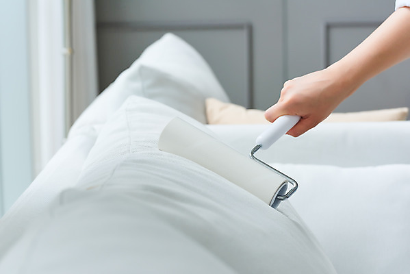 포토 1 중년 의자 실내 사람 동양인 성인 내부 건물 신체부위 도구 위생 청소도구 청소 여자한명만 중년여자만 파일형식 쿠션 주택 한명 소파 스튜디오촬영 한국인 손 여자 40대 가사 먼지 거실 대청소 JPG 중년여자한명만 청결 롤클리너 국내포토