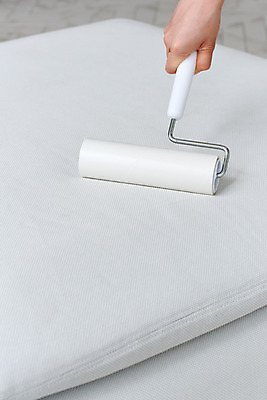 포토 1 중년 의자 실내 사람 동양인 성인 내부 건물 신체부위 도구 위생 청소도구 청소 여자한명만 중년여자만 파일형식 한명 소파 스튜디오촬영 한국인 손 여자 40대 가사 먼지 거실 대청소 주택 JPG 중년여자한명만 청결 롤클리너 국내포토