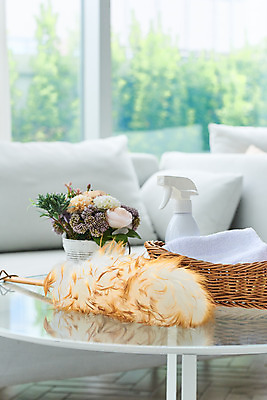 포토 JPG 스튜디오촬영 가사 거실 탁자 주택 실내 사람없음 소파 청결 위생 먼지떨이 청소도구 청소 먼지 걸레 대청소 소독제 국내포토 가구 의자 내부 건물 도구 파일형식