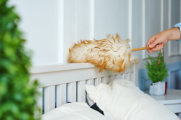 포토 JPG 스튜디오촬영 손 여자 40대 중년 가사 주택 실내 한명 신체부위 청결 침실 한국인 침대 위생 먼지떨이 청소도구 청소 먼지 대청소 중년여자한명만 국내포토 1 가구 사람 동양인 성인 내부 건물 도구 여자한명만 중년여자만 파일형식