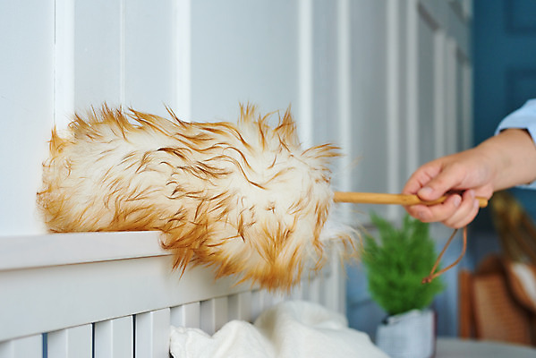 포토 JPG 스튜디오촬영 손 여자 40대 중년 가사 주택 실내 한명 신체부위 청결 침실 한국인 침대 위생 먼지떨이 청소도구 청소 먼지 대청소 중년여자한명만 국내포토 1 가구 사람 동양인 성인 내부 건물 도구 여자한명만 중년여자만 파일형식