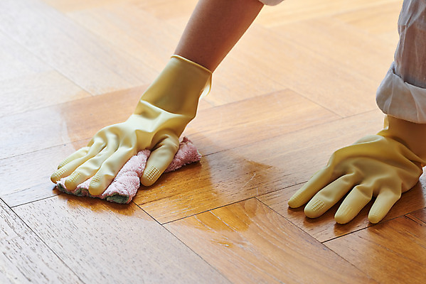 포토 JPG 스튜디오촬영 손 여자 가사 바닥 주택 실내 한명 20대 성인 신체부위 청결 침실 한국인 위생 청소도구 청소 먼지 고무장갑 걸레 위생장갑 대청소 성인여자한명만 국내포토 1 장갑 사람 동양인 청년 내부 건물 도구 고무 여자한명만 성인여자만 파일형식