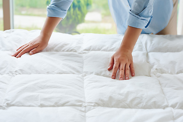 포토 JPG 스튜디오촬영 손 여자 40대 중년 가사 주택 실내 한명 신체부위 청결 침실 이불 한국인 침대 위생 청소도구 청소 먼지 대청소 중년여자한명만 국내포토 1 가구 침구 사람 동양인 성인 내부 건물 도구 여자한명만 중년여자만 파일형식