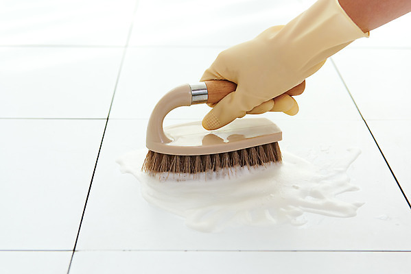 포토 JPG 스튜디오촬영 손 여자 40대 중년 장갑 가사 주택 실내 한명 들기 신체부위 청결 한국인 욕실 위생 청소도구 청소 세제 타일 화장실 닦기 수세미 대청소 국내포토 1 잡화 모션 사람 동양인 성인 내부 건물 도구 파일형식