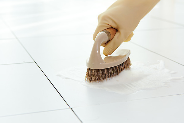 포토 JPG 스튜디오촬영 손 여자 40대 중년 장갑 가사 주택 실내 한명 들기 신체부위 청결 한국인 욕실 위생 청소도구 청소 세제 타일 화장실 닦기 수세미 대청소 국내포토 1 잡화 모션 사람 동양인 성인 내부 건물 도구 파일형식